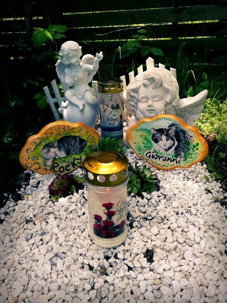 2019-08 Thementürschilder Holz (1)