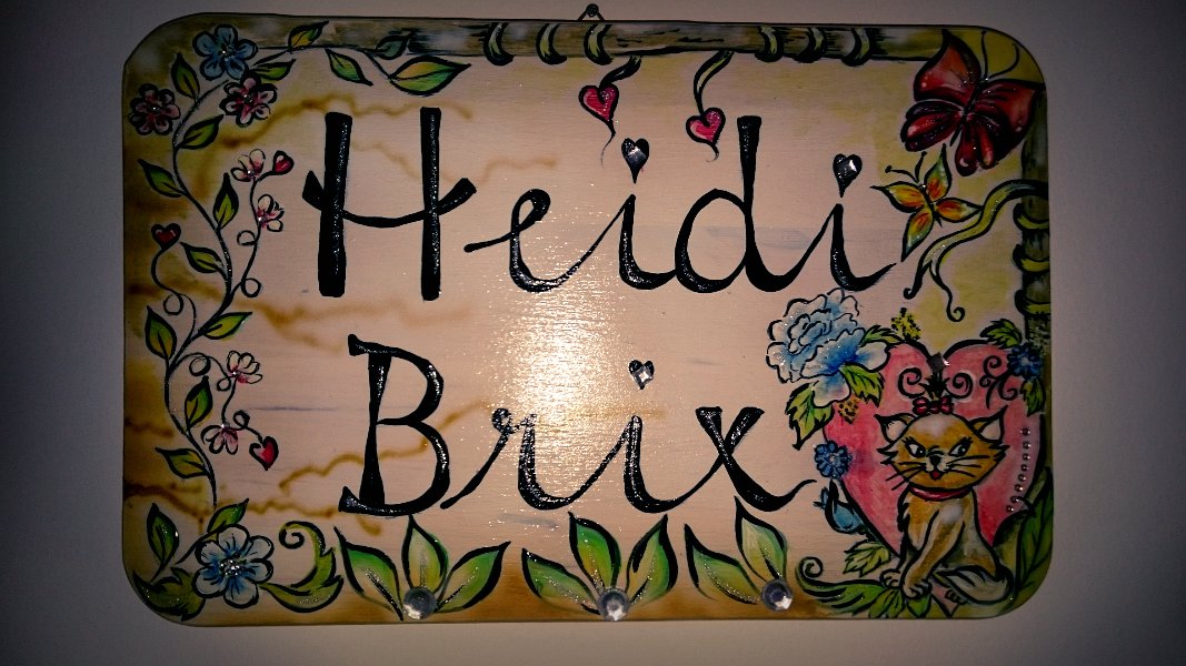 Thementürschilder Holz   (27)