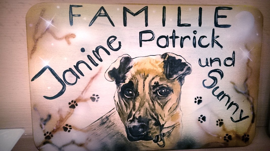 Thementürschilder Holz   (43)