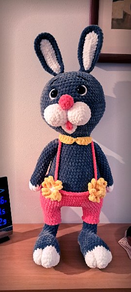 2024-11 Amigurumi (10)
