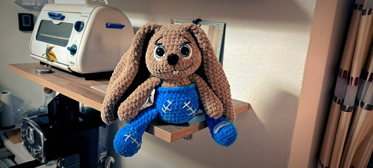 2024-11 Amigurumi (14)